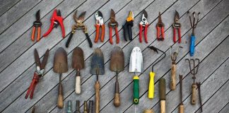 Attrezzatura giardinaggio, la migliore da utilizzare per un risultato perfetto
