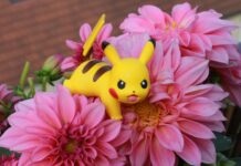 Cosa sono i Pokémon e perché non sono mai passati di moda?