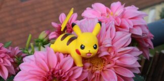 Cosa sono i Pokémon e perché non sono mai passati di moda?