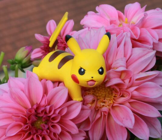 Cosa sono i Pokémon e perché non sono mai passati di moda?