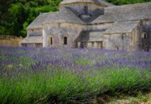 Destinazioni autunnali: colori e sapori in giro per il mondo
